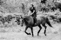 IMG_5991