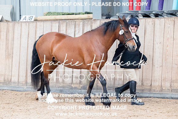 JHP_1042
