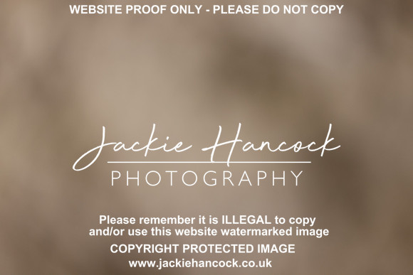 R5JH0738
